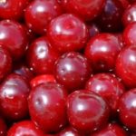 Cranberry