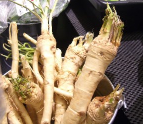 Get Rid of Stuffy Nose with Horseradish