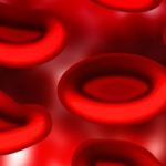 How to increase Hemoglobin