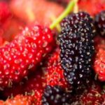 Mulberries Fruit