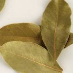 Bay Leaf